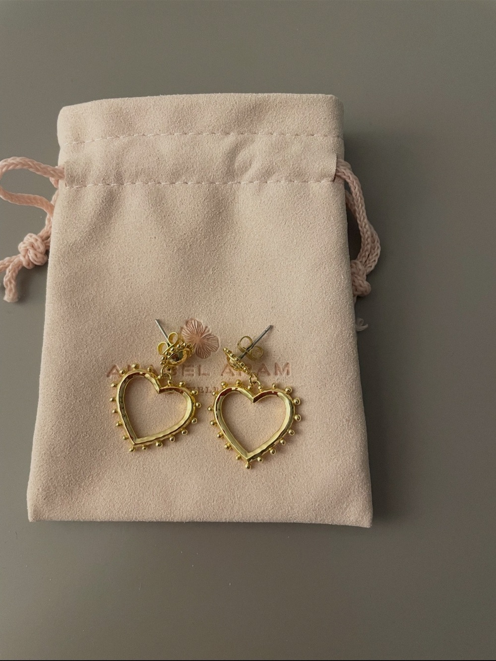 NWOT Anabel Aram Gold Heart Hoop Earrings - Women Accessories